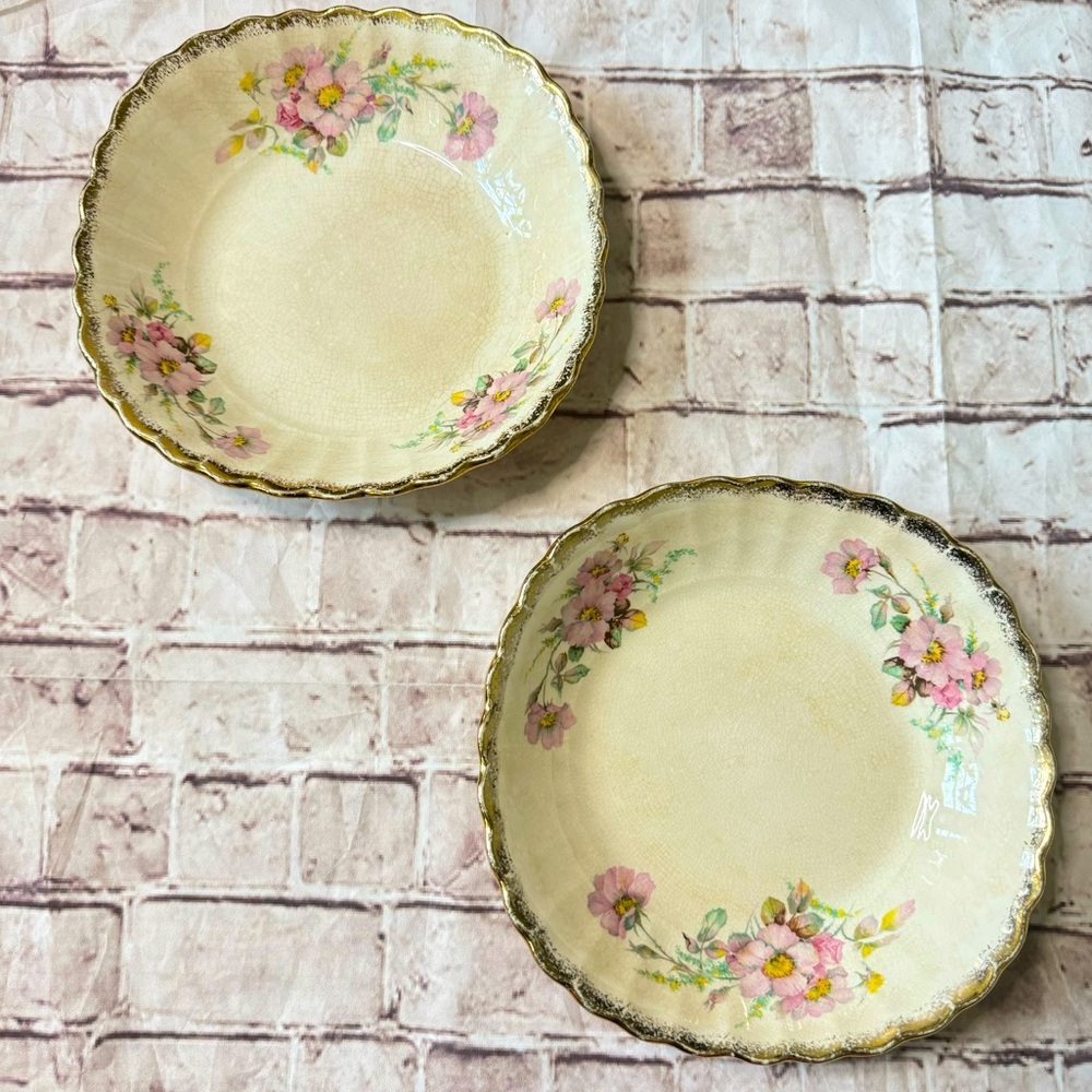 Golden Ware by Sebring USA Wild rose 22 karat pure gold dinner plates set of 2